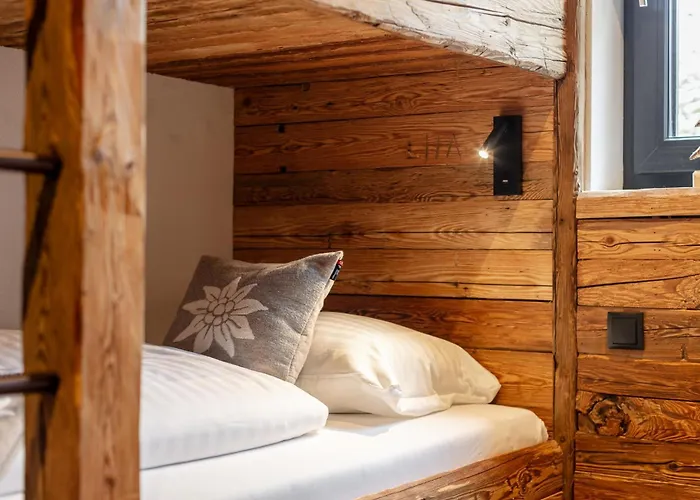 Tauernlodge Eben E4 * 埃本因蓬高