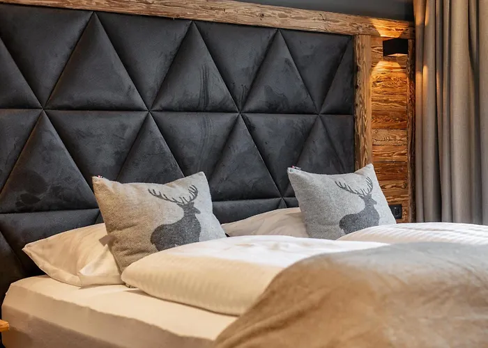 Tauernlodge Eben E4 * 埃本因蓬高