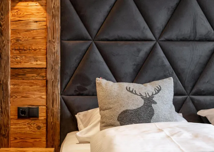 Tauernlodge Eben E4 木屋 埃本因蓬高