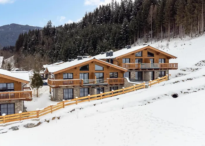 Tauernlodge Eben E4 * 埃本因蓬高