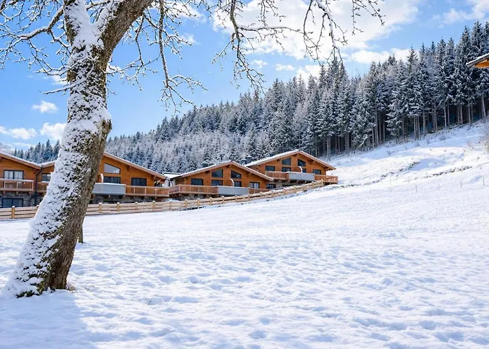 Tauernlodge Eben E4 Chalet *